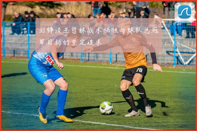 刘铮谈王哲林战术牺牲与球队总冠军目标的坚定追求